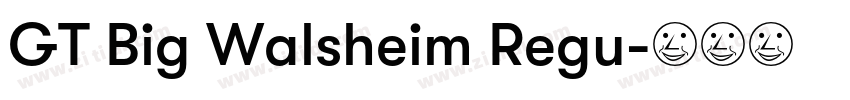 GT Big Walsheim Regu字体转换